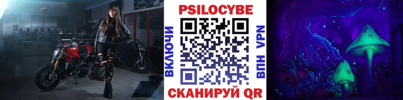 Псилоцибиновые грибы Psilocybine cubensis Черемхово